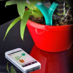 senzor iPhone plante ornamentale