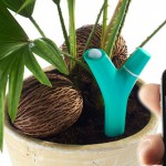 senzor iPhone plante ornamentale