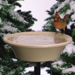 Vas bol apă încălzită pentru păsări